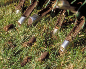 Core on sale aerator service