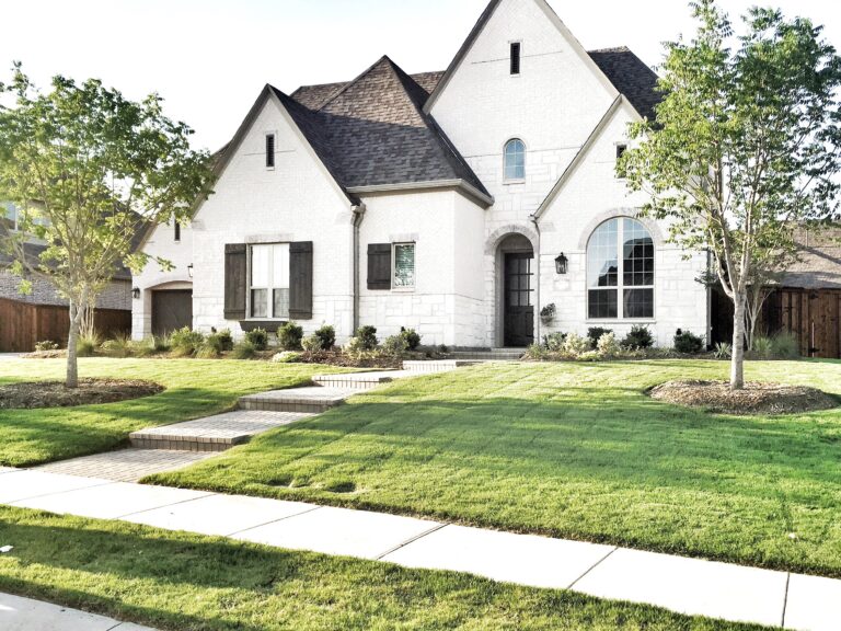 Rejuvenating Your Lawn: A Comprehensive Guide